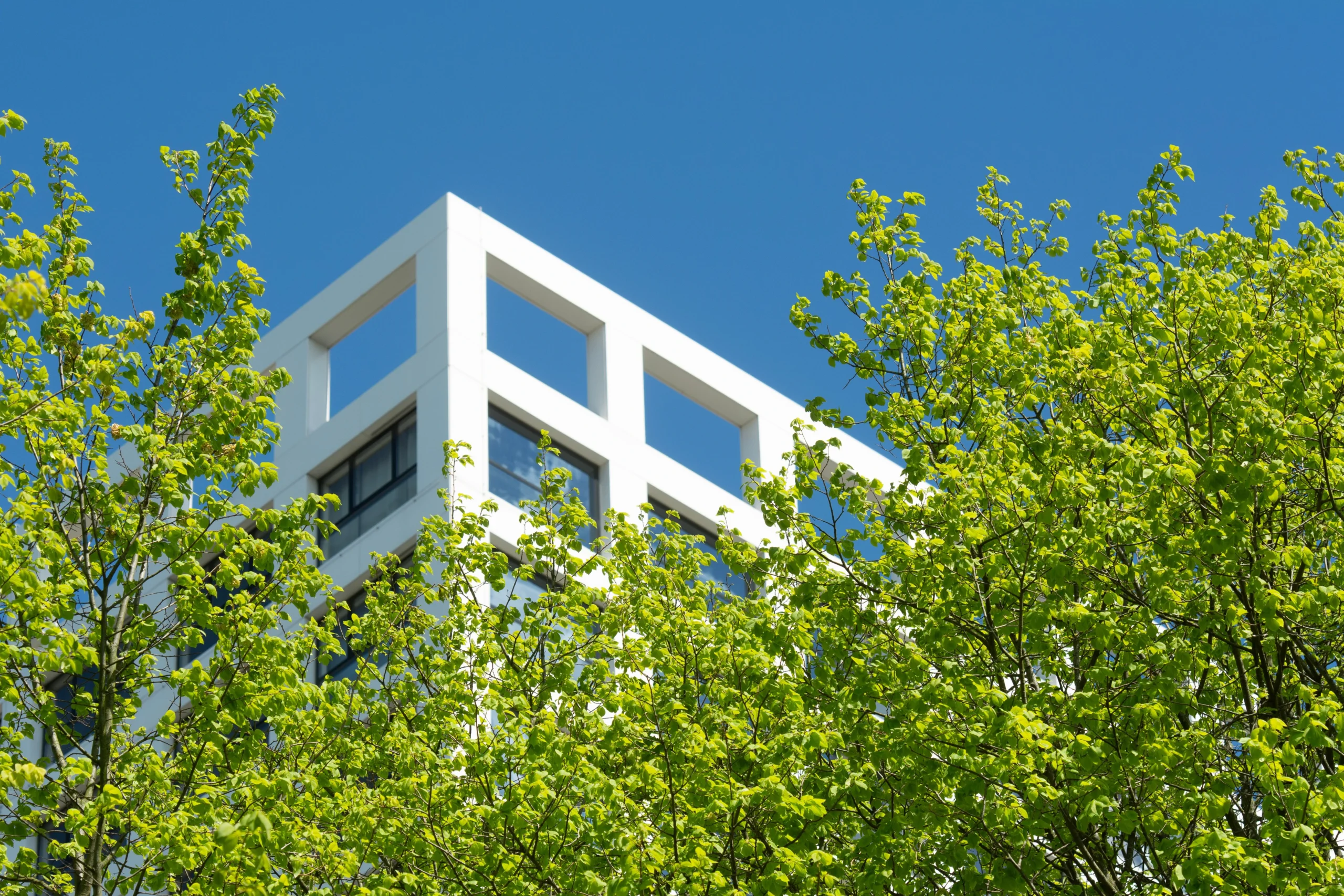 pexels-jan-van-der-wolf-Imagen de edificio verde